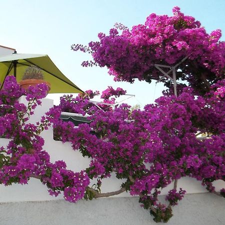 Hotel Villa Cecilia Ischia Esterno foto