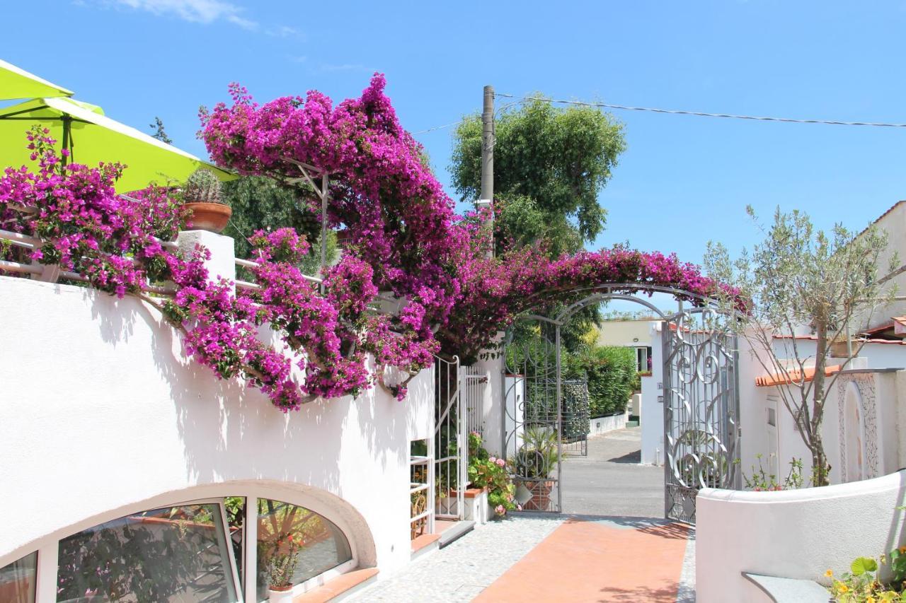 Hotel Villa Cecilia Ischia Esterno foto