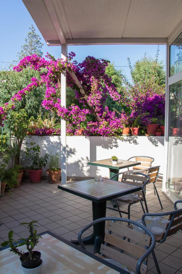 Hotel Villa Cecilia Ischia Esterno foto