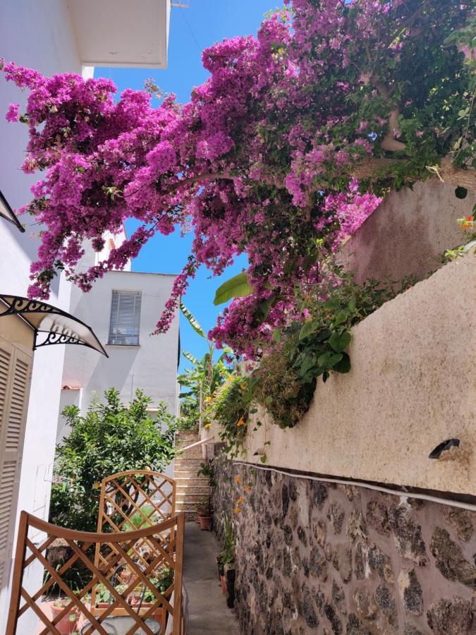Hotel Villa Cecilia Ischia Esterno foto