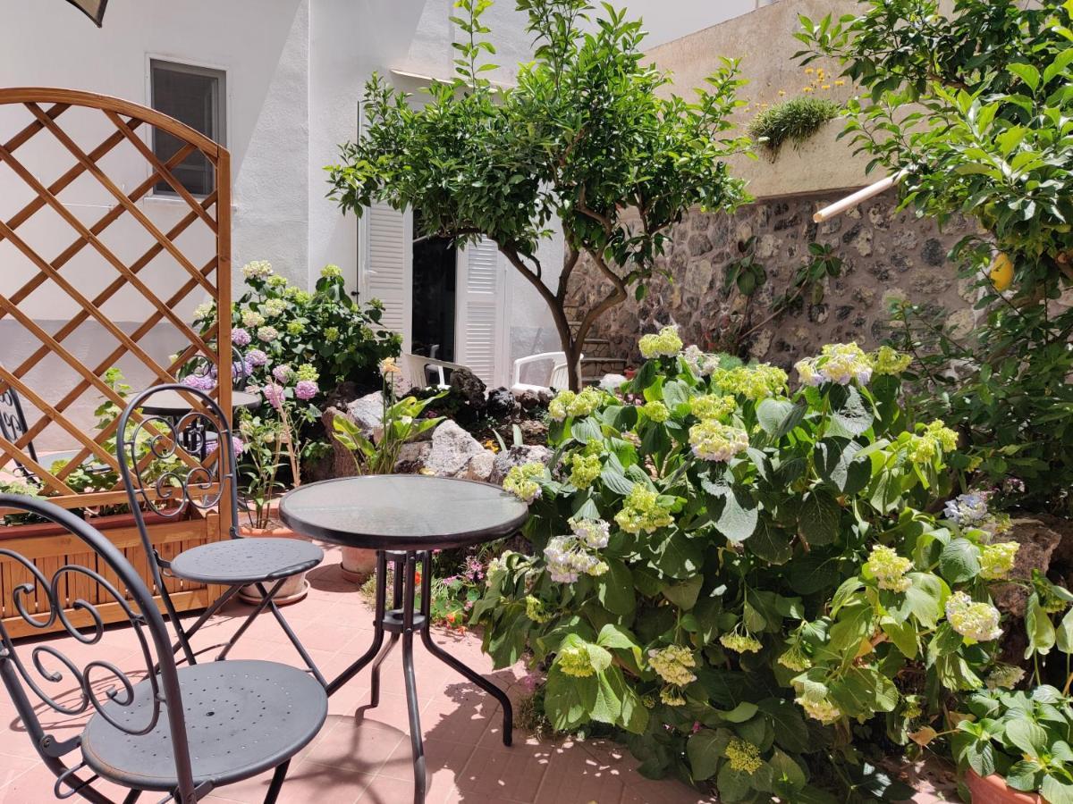 Hotel Villa Cecilia Ischia Esterno foto