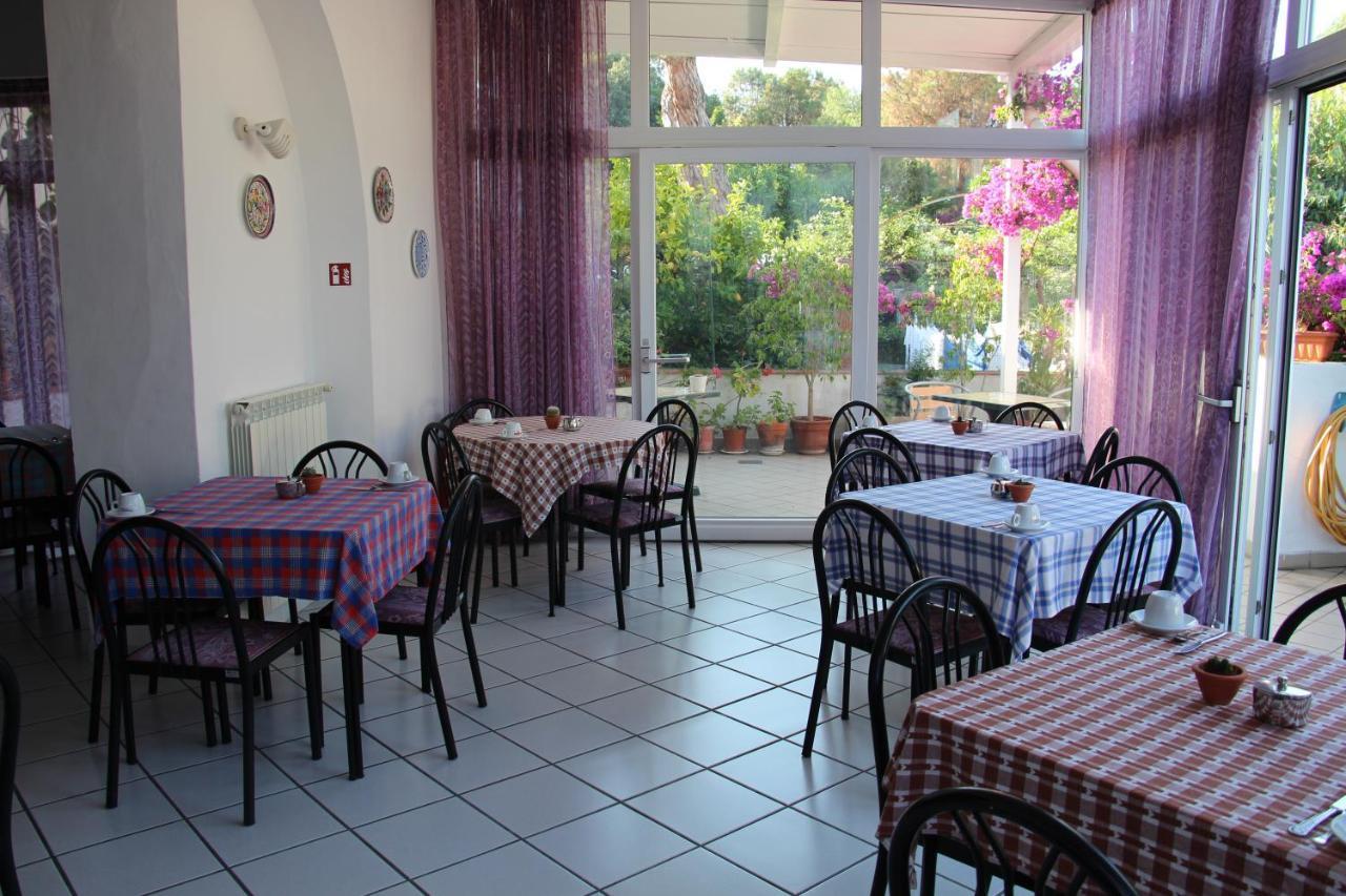 Hotel Villa Cecilia Ischia Esterno foto