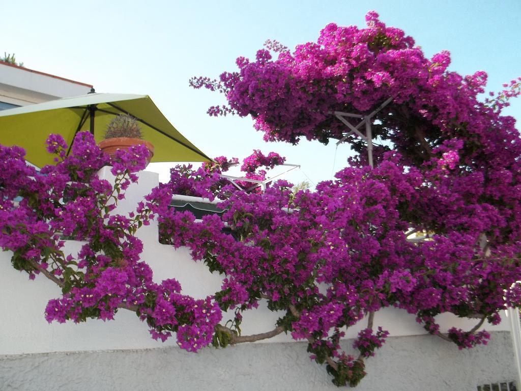 Hotel Villa Cecilia Ischia Esterno foto